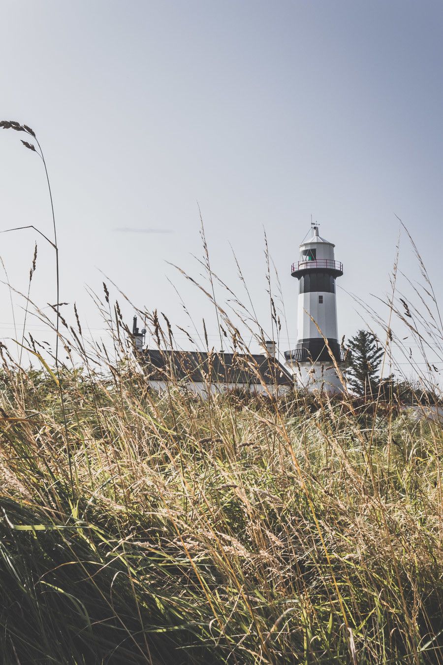 Vous planifiez un road trip en Irlande ? N’oubliez pas le comté de Donegal. Entre belles plages et falaises imposantes, ce comté saura vous surprendre et vous émerveiller. Vous trouverez dans cet article conseils pratiques et itinéraire. Irlande road trip / Road trip Irlande / Irlande paysage / Irlande / Donegal Ireland / Donegal things to do / Voyage Irlande / Voyage en Irlande / Carnet de voyage Irlande / Carnet voyage Irlande