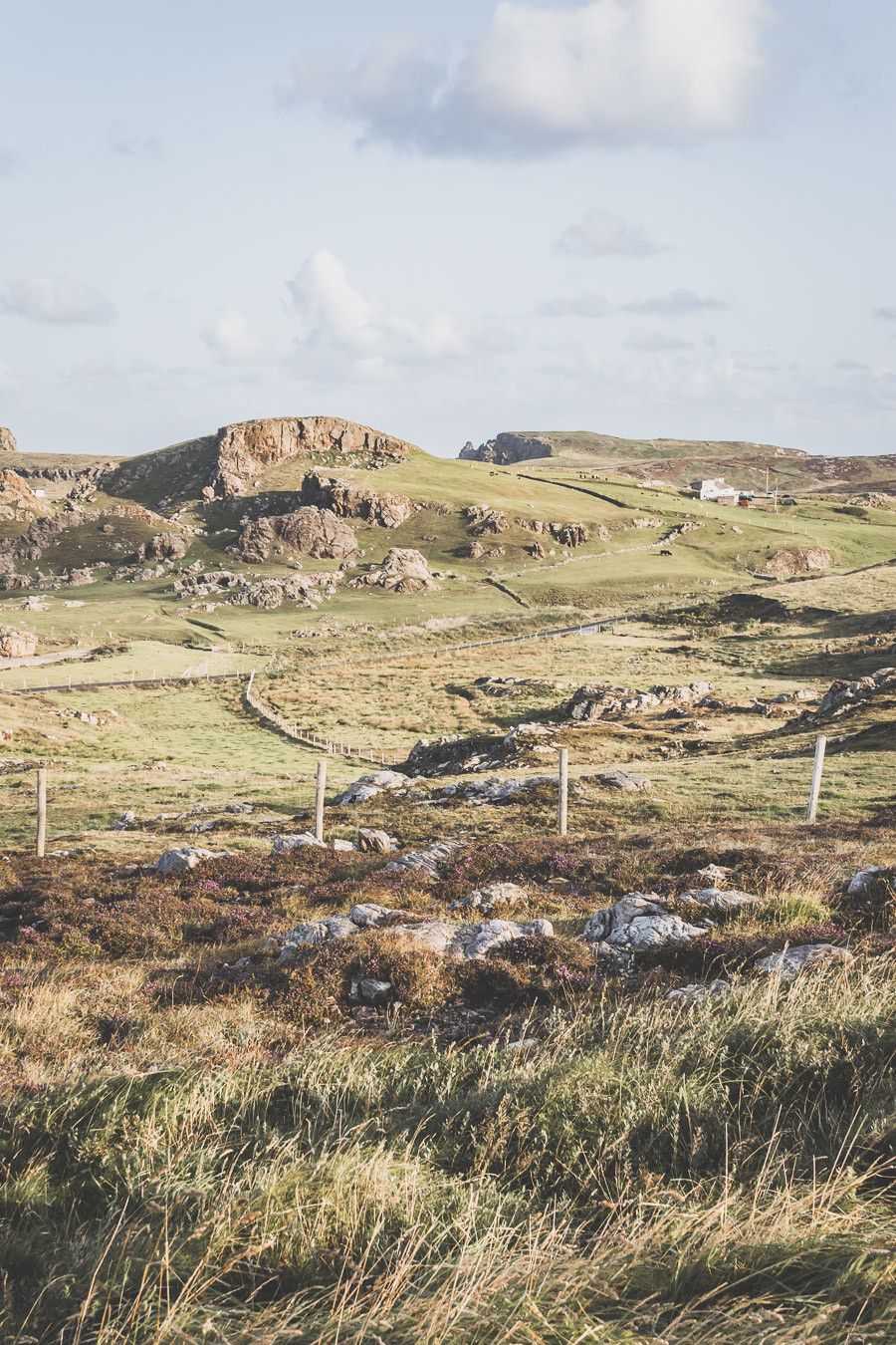 Vous planifiez un road trip en Irlande ? N’oubliez pas le comté de Donegal. Entre belles plages et falaises imposantes, ce comté saura vous surprendre et vous émerveiller. Vous trouverez dans cet article conseils pratiques et itinéraire. Irlande road trip / Road trip Irlande / Irlande paysage / Irlande / Donegal Ireland / Donegal things to do / Voyage Irlande / Voyage en Irlande / Carnet de voyage Irlande / Carnet voyage Irlande