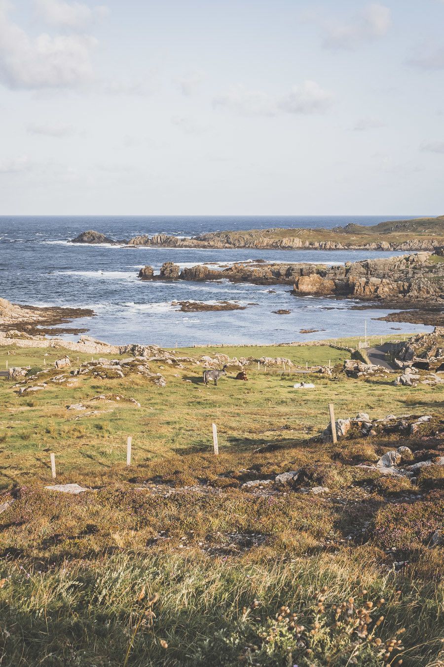 Vous planifiez un road trip en Irlande ? N’oubliez pas le comté de Donegal. Entre belles plages et falaises imposantes, ce comté saura vous surprendre et vous émerveiller. Vous trouverez dans cet article conseils pratiques et itinéraire. Irlande road trip / Road trip Irlande / Irlande paysage / Irlande / Donegal Ireland / Donegal things to do / Voyage Irlande / Voyage en Irlande / Carnet de voyage Irlande / Carnet voyage Irlande