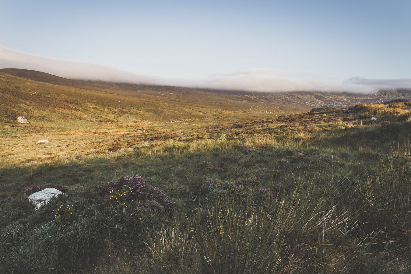 Vous rêvez ou planifiez un road trip en Irlande ? Vous partez en vacances à Dublin et souhaitez faire une excursion en dehors de la ville ? Pensez au Parc National des Montagnes de Wicklow ! C’est un paradis pour les randonneurs et pour les amoureux de grands espaces. Irlande road trip / Road trip Irlande / Irlande paysage / Irlande voyage / Voyage Irlande / Voyage en Irlande / Dublin / Wicklow ireland / Wicklow mountains / Wicklow Mountains National Park