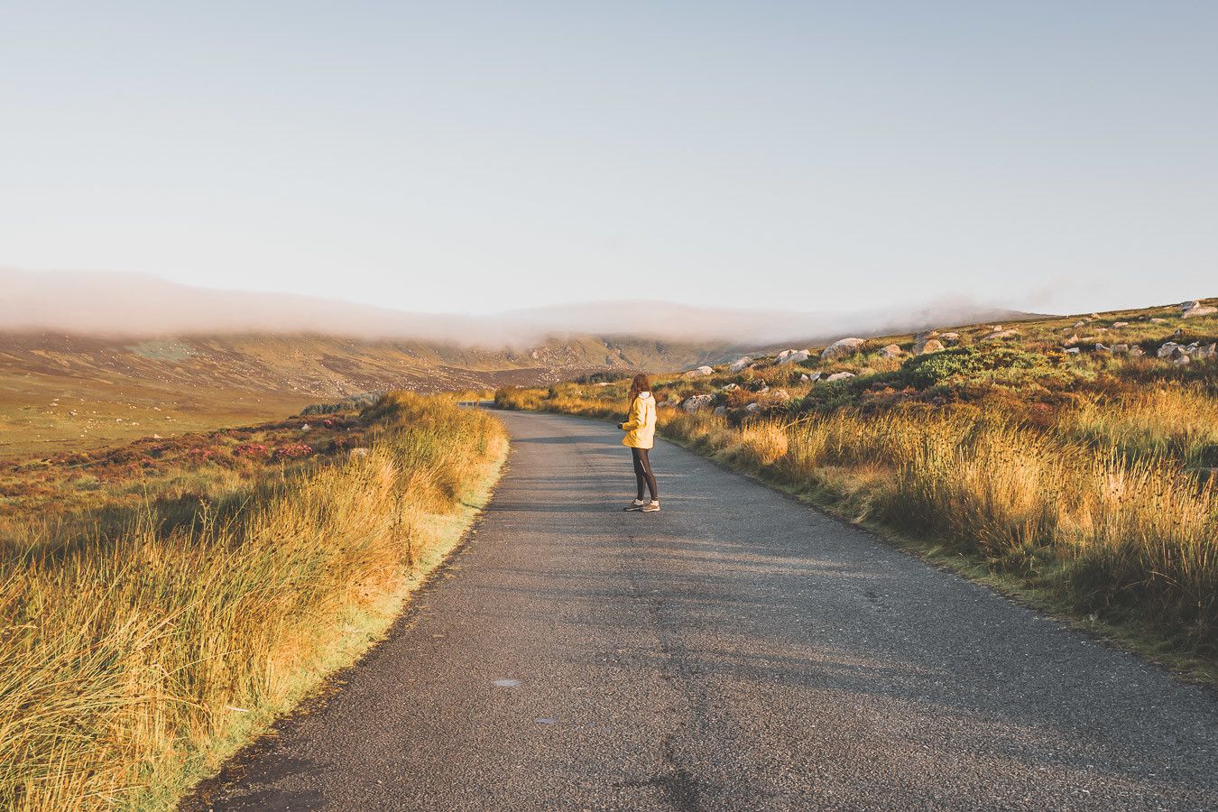 Vous rêvez ou planifiez un road trip en Irlande ? Vous partez en vacances à Dublin et souhaitez faire une excursion en dehors de la ville ? Pensez au Parc National des Montagnes de Wicklow ! C’est un paradis pour les randonneurs et pour les amoureux de grands espaces. Irlande road trip / Road trip Irlande / Irlande paysage / Irlande voyage / Voyage Irlande / Voyage en Irlande / Dublin / Wicklow ireland / Wicklow mountains / Wicklow Mountains National Park