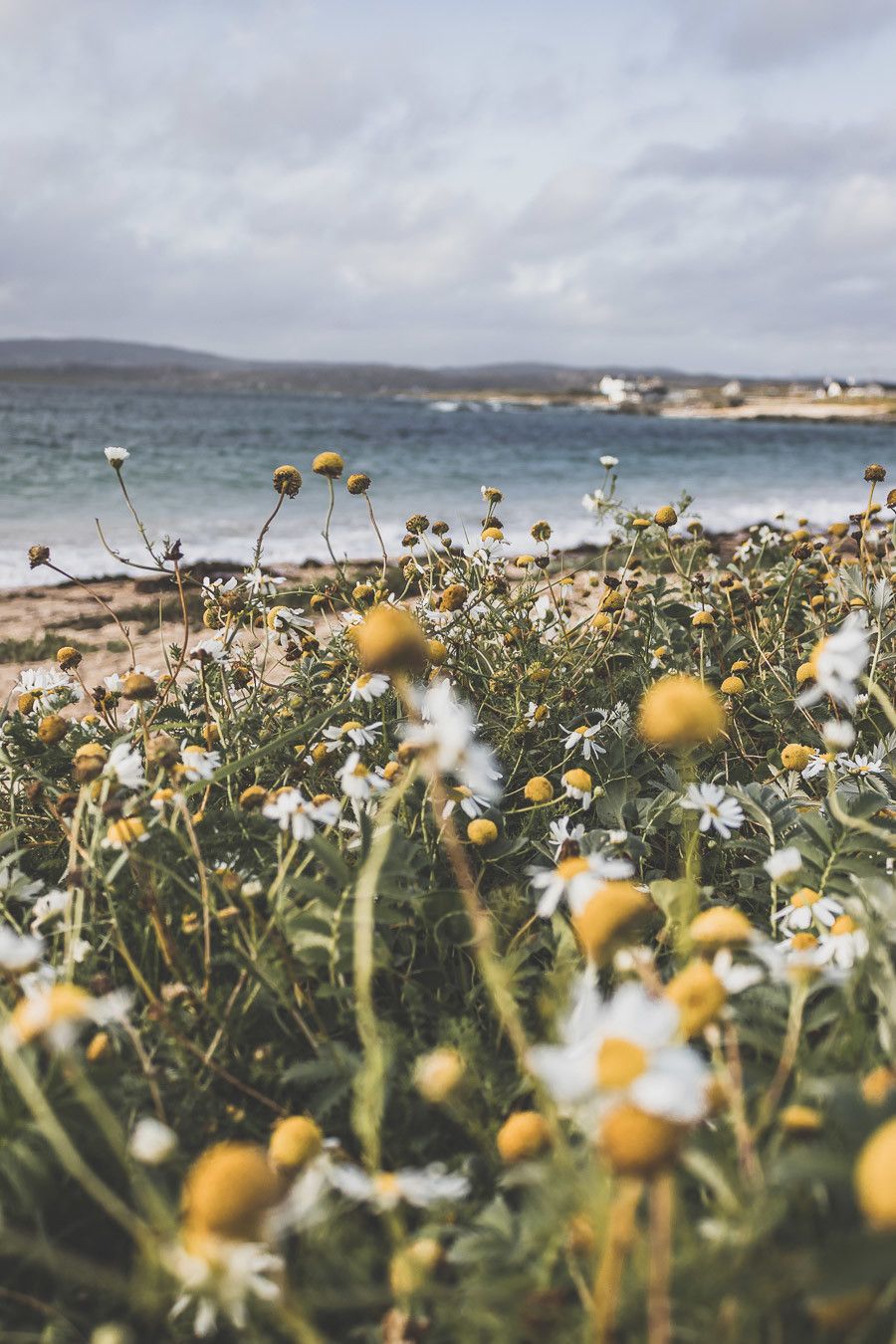 Connemara National Park