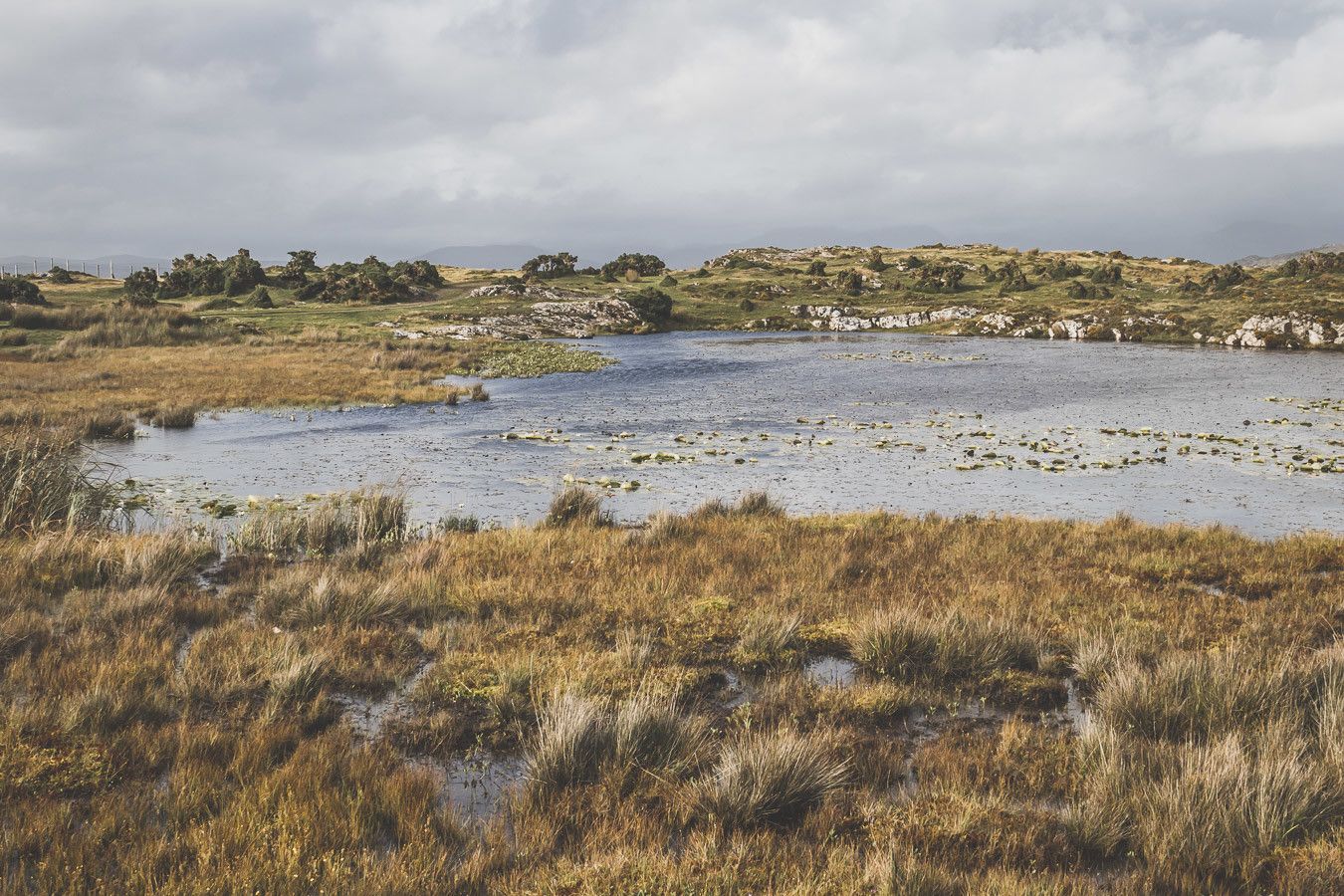 Vous souhaitez visiter le Connemara ? Découvrir la ville de Galway et ses alentours ? Ce guide est fait pour vous ! Il saura vous aiguiller / Irlande road trip / Road trip Irlande / Irlande paysage / Irlande voyage / Voyage Irlande / Irlande voyage / Voyage Irlande / Voyage en Irlande / Carnet de voyage en Irlande / Carnet voyage Irlande / Connemara Irlande / Connemara national park / Galway Ireland / Galway Irlande / Galway things to do