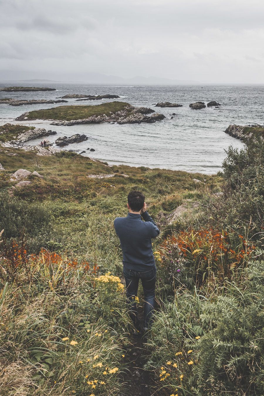 Magnique vue depuis le bord de route sur la Ring of Kerry