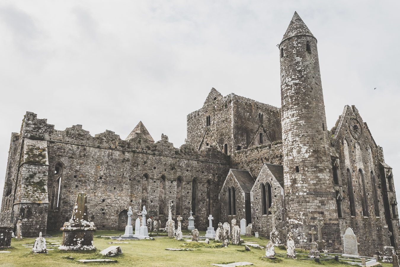 Vue panoramique sur le Rock of Cashel