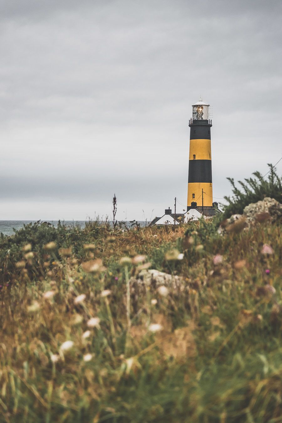 Vous ne connaissez pas encore l’Irlande-du-Nord ? Vous rêvez d’un voyage en Irlande-du-Nord ? Cet article est fait pour vous ! Il vous aidera à préparer votre road trip dans des lieux incroyables comme la Chaussée des Géants ou le pont Carrick-a-Rede. Vous découvrirez des lieux de tournage de Game of Thrones. Road trip Irlande / Irlande du Nord / Irlande voyage / Irlande paysage / Irlande road trip / Irlande du Nord voyage / Irlande du Nord paysage / Circuit Irlande du Nord / Game of Thrones