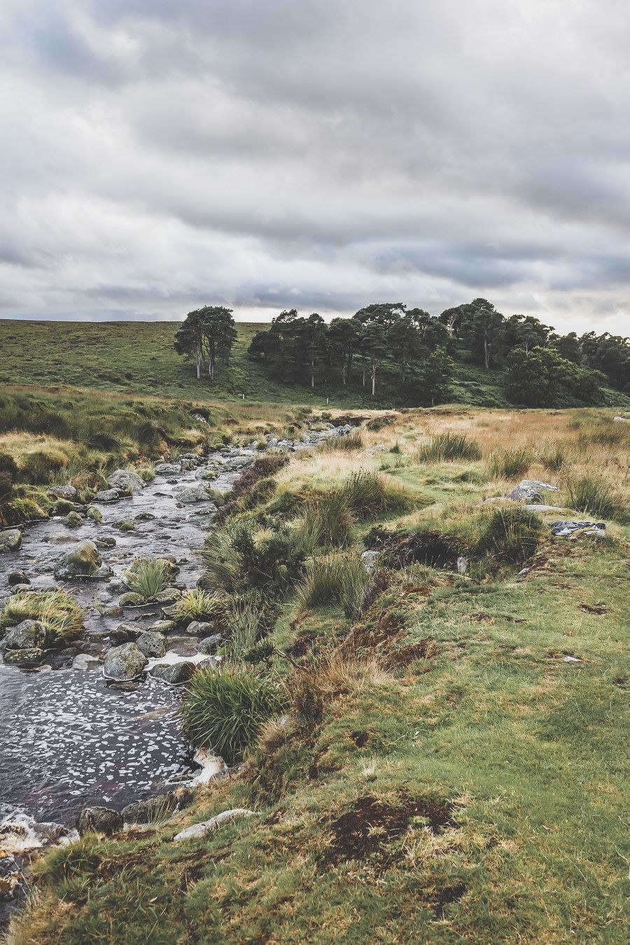 Vous rêvez ou planifiez un road trip en Irlande ? Vous partez en vacances à Dublin et souhaitez faire une excursion en dehors de la ville ? Pensez au Parc National des Montagnes de Wicklow ! C’est un paradis pour les randonneurs et pour les amoureux de grands espaces. Irlande road trip / Road trip Irlande / Irlande paysage / Irlande voyage / Voyage Irlande / Voyage en Irlande / Dublin / Wicklow ireland / Wicklow mountains / Wicklow Mountains National Park