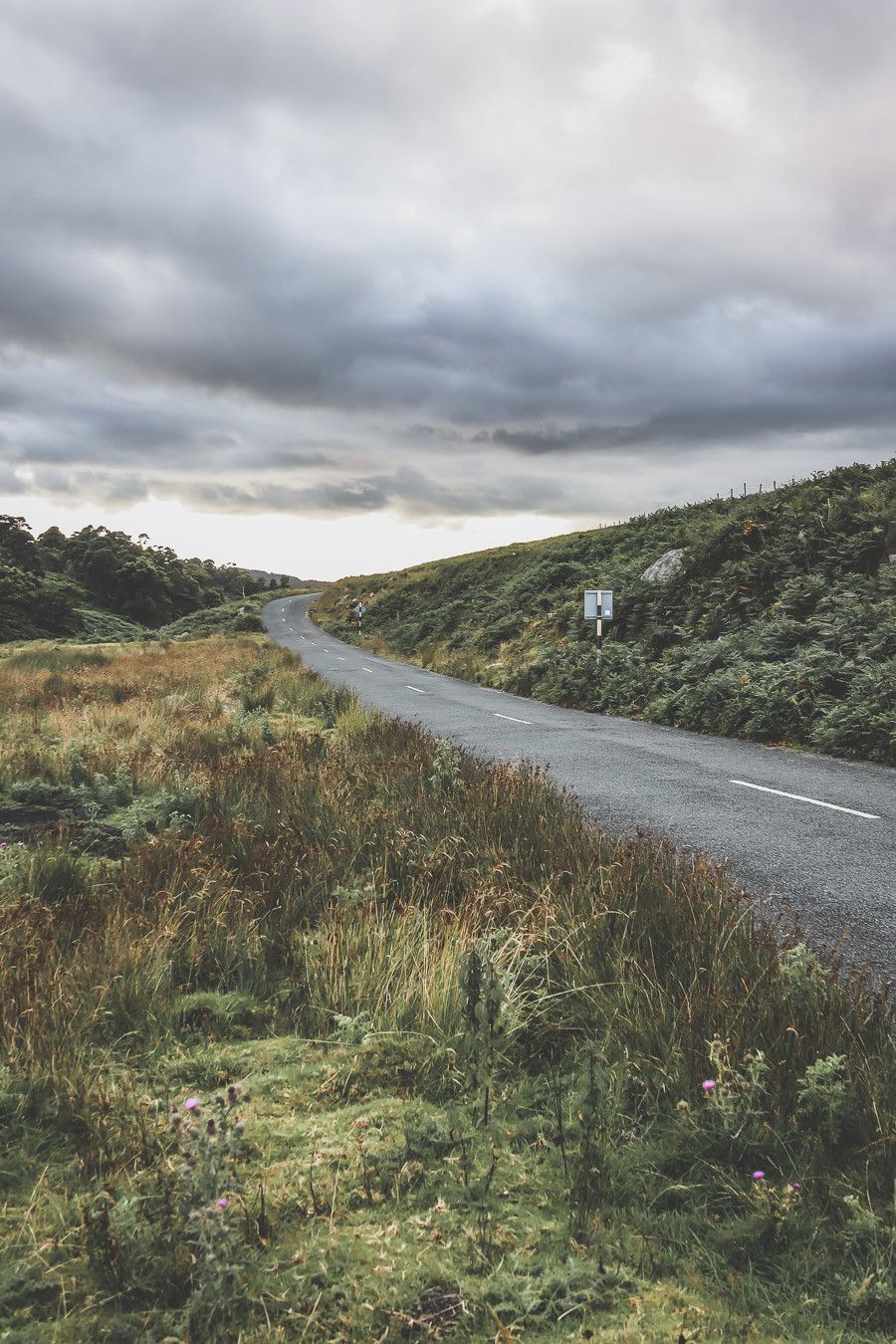 Vous rêvez ou planifiez un road trip en Irlande ? Vous partez en vacances à Dublin et souhaitez faire une excursion en dehors de la ville ? Pensez au Parc National des Montagnes de Wicklow ! C’est un paradis pour les randonneurs et pour les amoureux de grands espaces. Irlande road trip / Road trip Irlande / Irlande paysage / Irlande voyage / Voyage Irlande / Voyage en Irlande / Dublin / Wicklow ireland / Wicklow mountains / Wicklow Mountains National Park