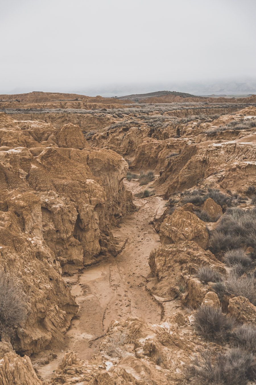 découvrir le désert des Bardenas