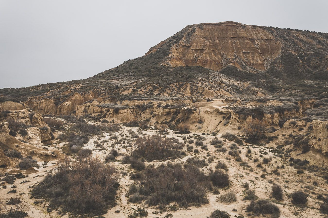 La nature espagnole