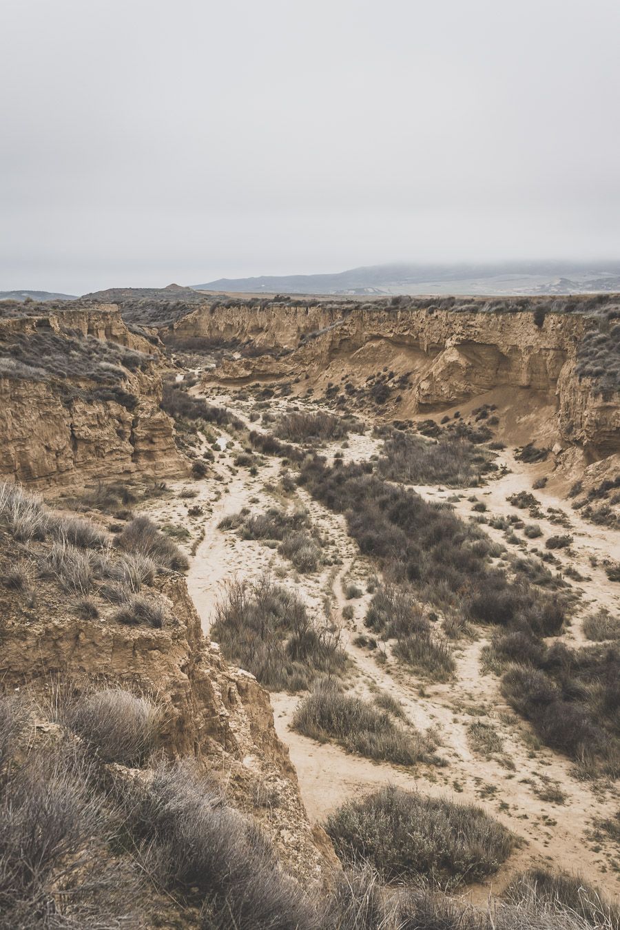 Canyon dans le désert des Bardenas Reales