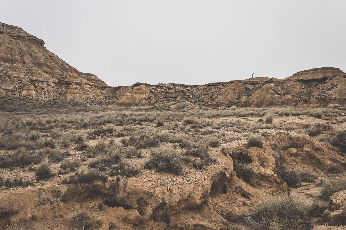 Découverte du Parc des Bardenas