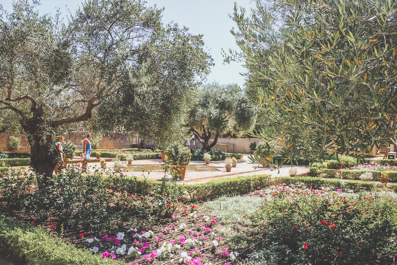 Jardins de l'Alcazar de Jerez de la Frontera