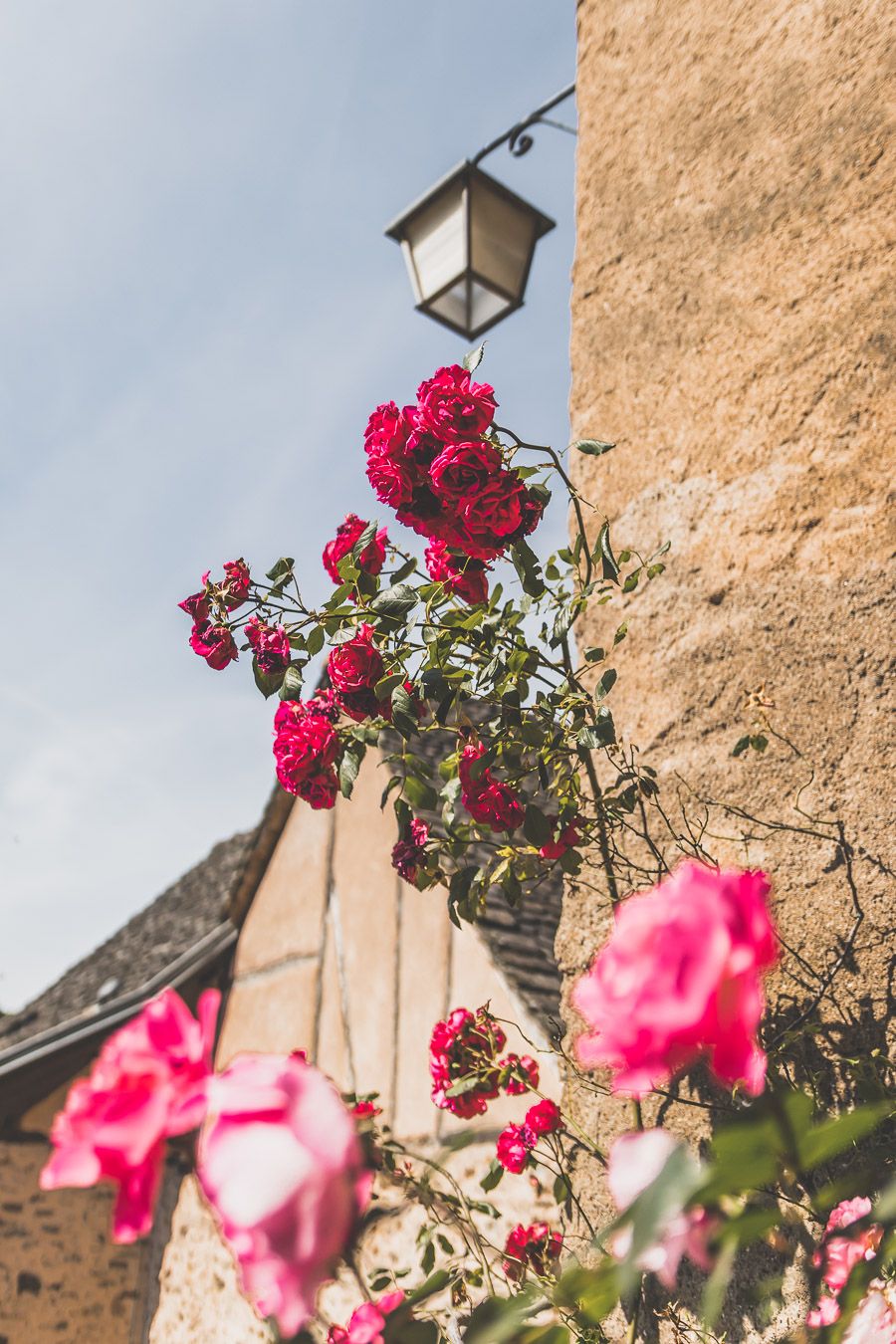 Que faire en Aveyron ?