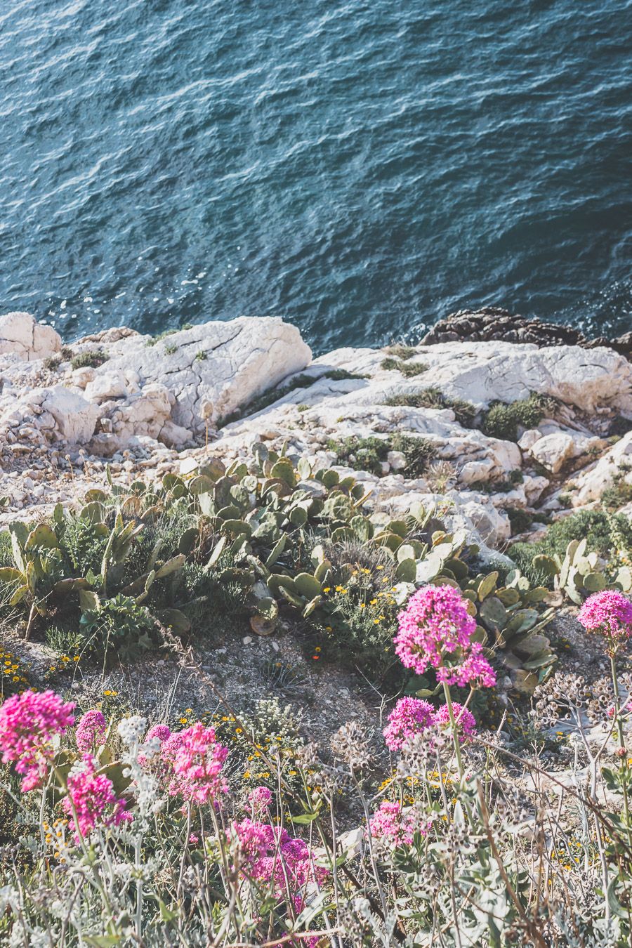 Découverte des Iles du Frioul / Tu planifies un voyage à Marseille? Suis le guide! Dans notre article, tu trouveras toutes les informations et beaucoup de photos qui te guideront dans ton excursion pour visiter les Iles du Frioul #marseille #frioul #mediterranée #france #provence #vacances / Randonnées / Baignade à Marseille / Vacances en France / Provence / Voyages en France / Nature / Destination nature / Plage Marseille / Calanques / Voyages