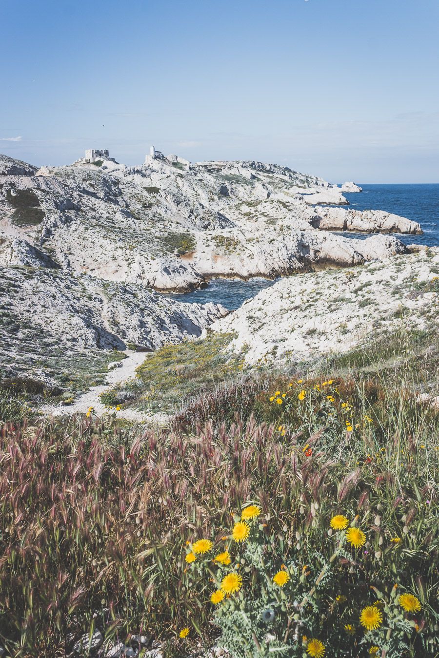 Découverte des Iles du Frioul / Tu planifies un voyage à Marseille? Suis le guide! Dans notre article, tu trouveras toutes les informations et beaucoup de photos qui te guideront dans ton excursion pour visiter les Iles du Frioul #marseille #frioul #mediterranée #france #provence #vacances / Randonnées / Baignade à Marseille / Vacances en France / Provence / Voyages en France / Nature / Destination nature / Plage Marseille / Calanques / Voyages