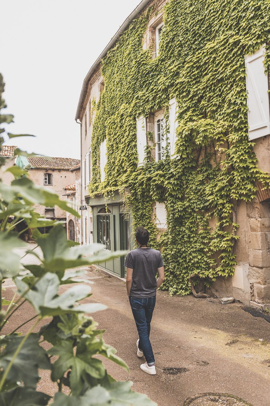 Visiter le Tarn - Sortie depuis Toulouse