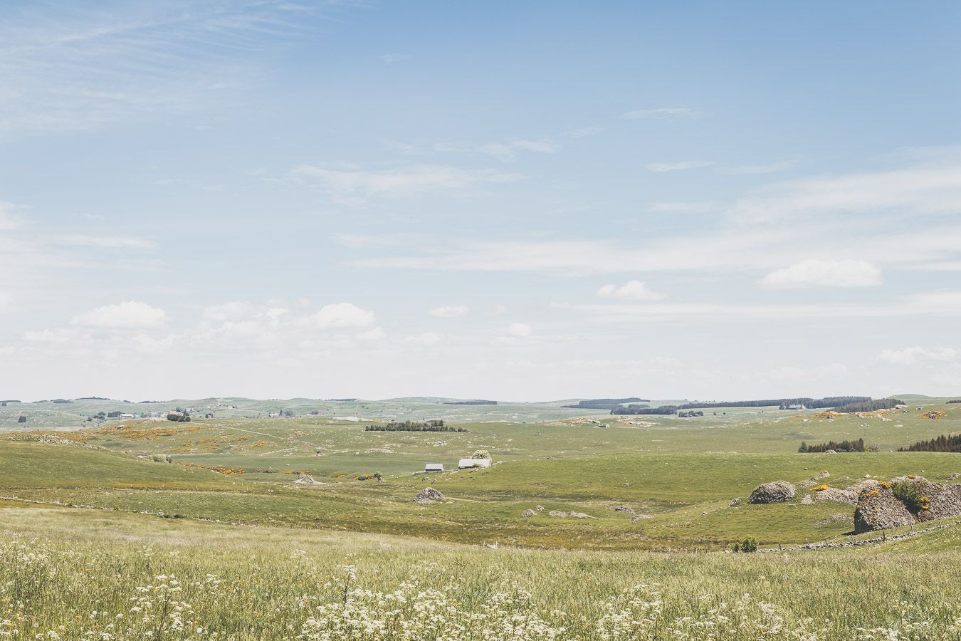 Paysage lozérien.