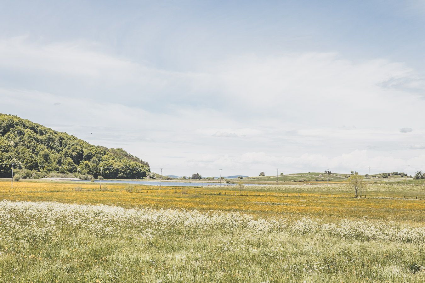 Lac de l'Aubrac