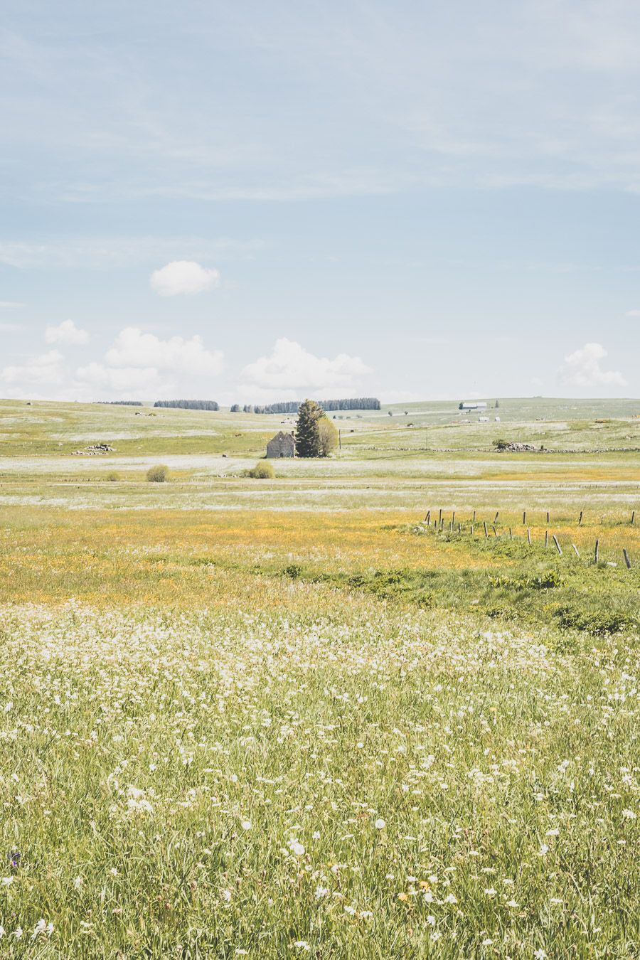 Découvrir la Lozère - l'Aubrac