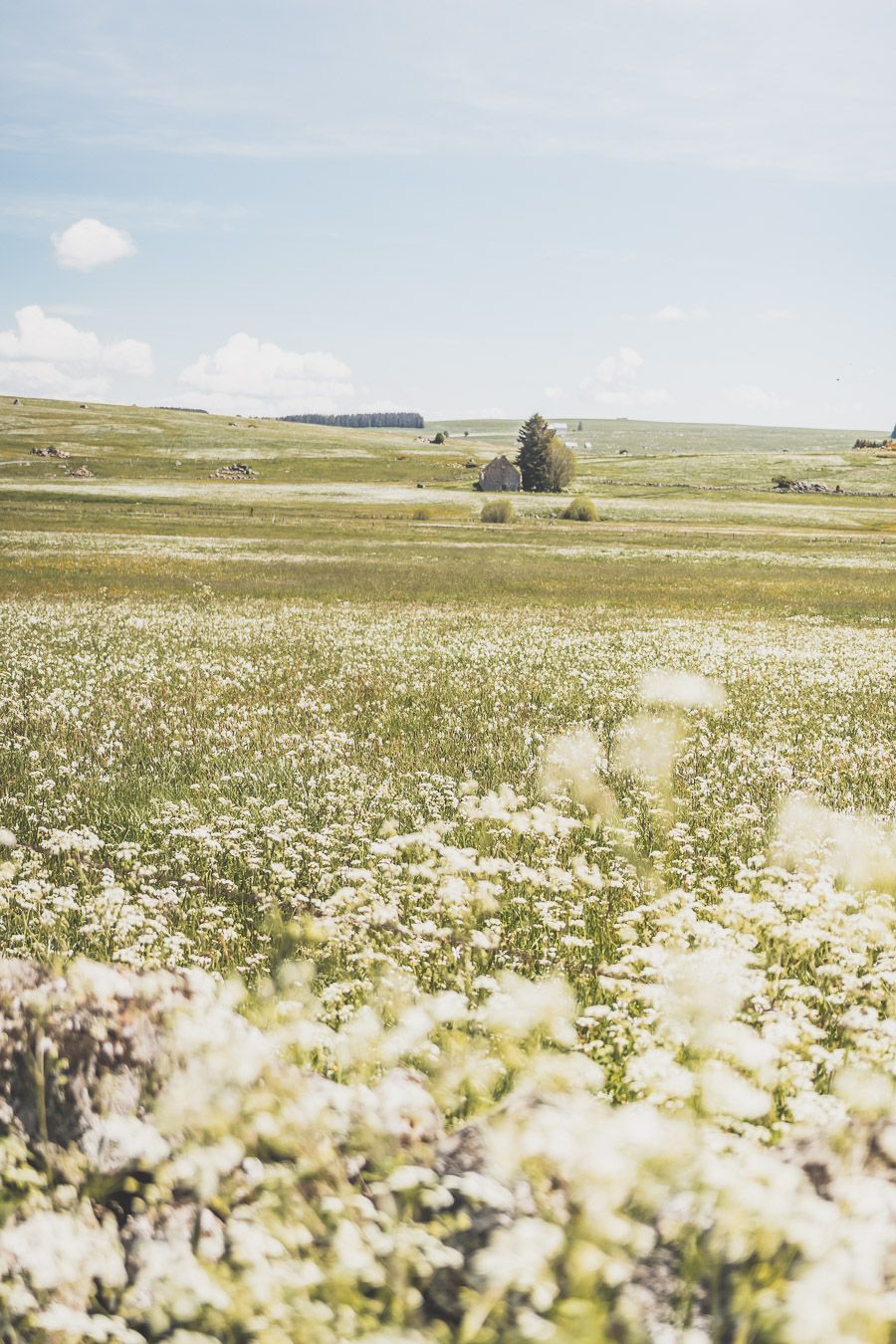 Vacances en France - le meilleur de la Lozère