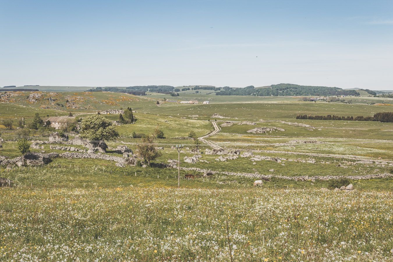 Monts d'Aubrac