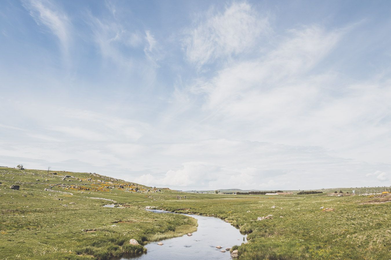 Paysage de l'Aubrac