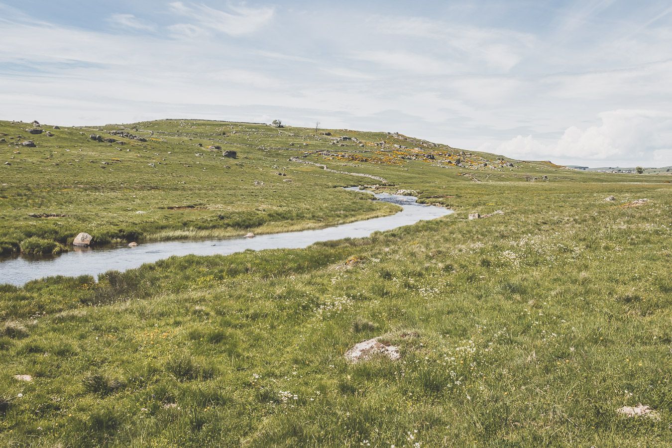 Ruisseau sur l'Aubrac