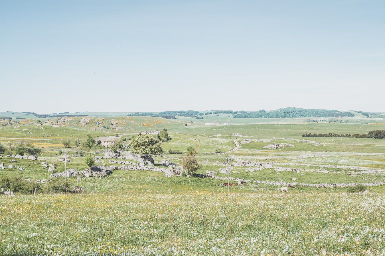 Paysage lozérien