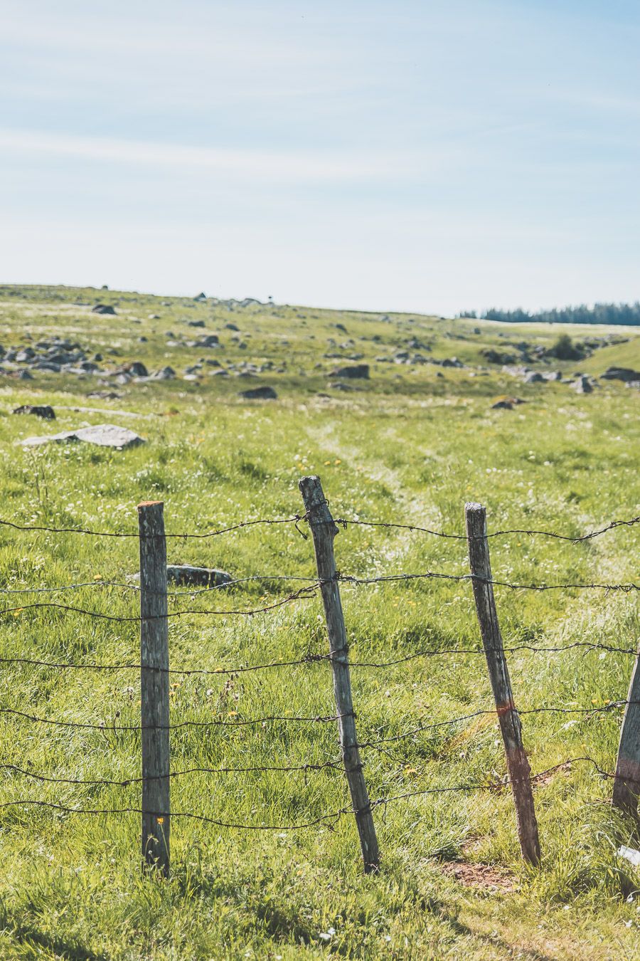 Randonnée sur l'Aubrac - Occitanie, France