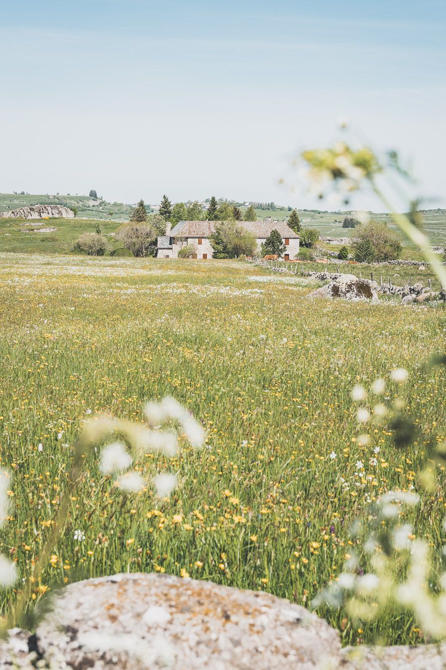 Destination nature : la Lozère