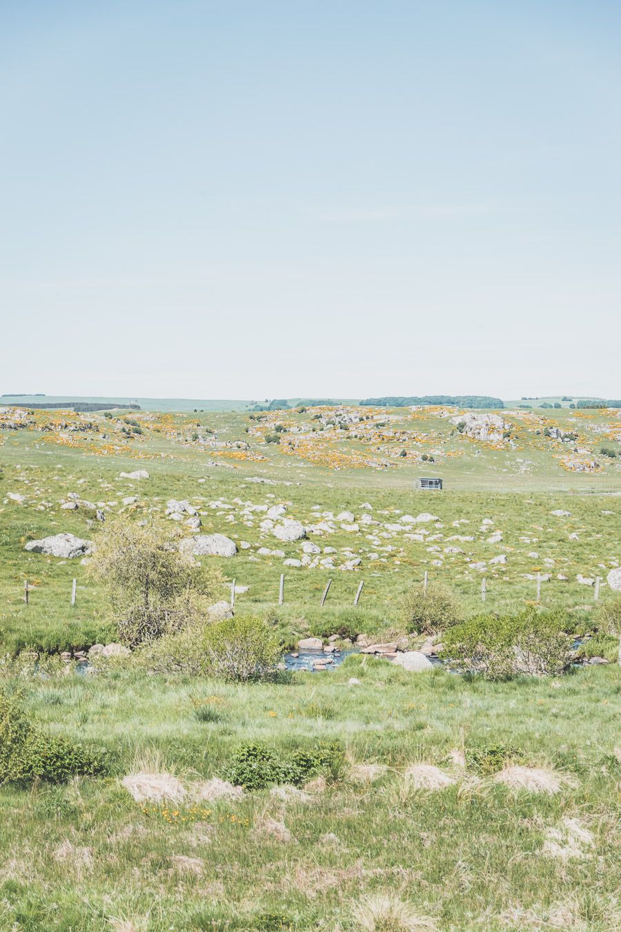 Destination nature : l'Aubrac