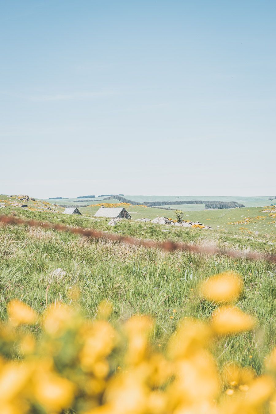 Randonnée sur l'Aubrac - Occitanie, France