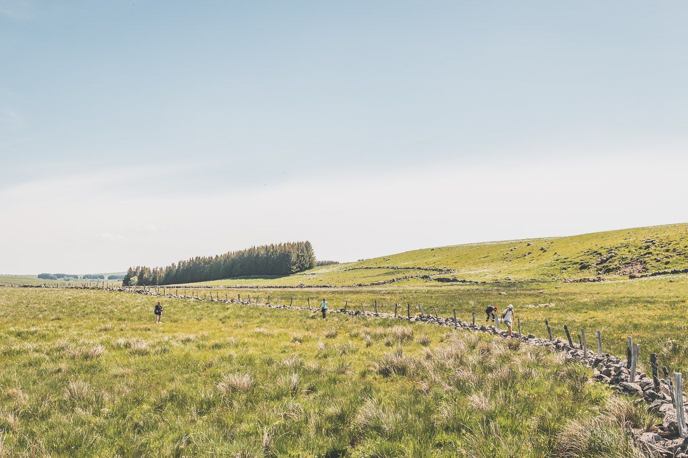 Randonner sur l'Aubrac