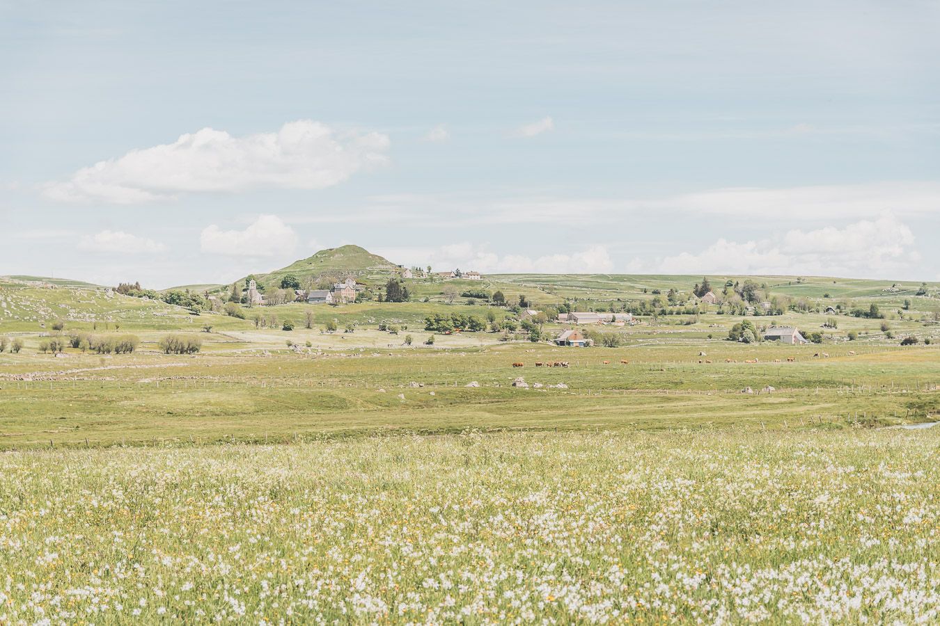 Nature en Lozère