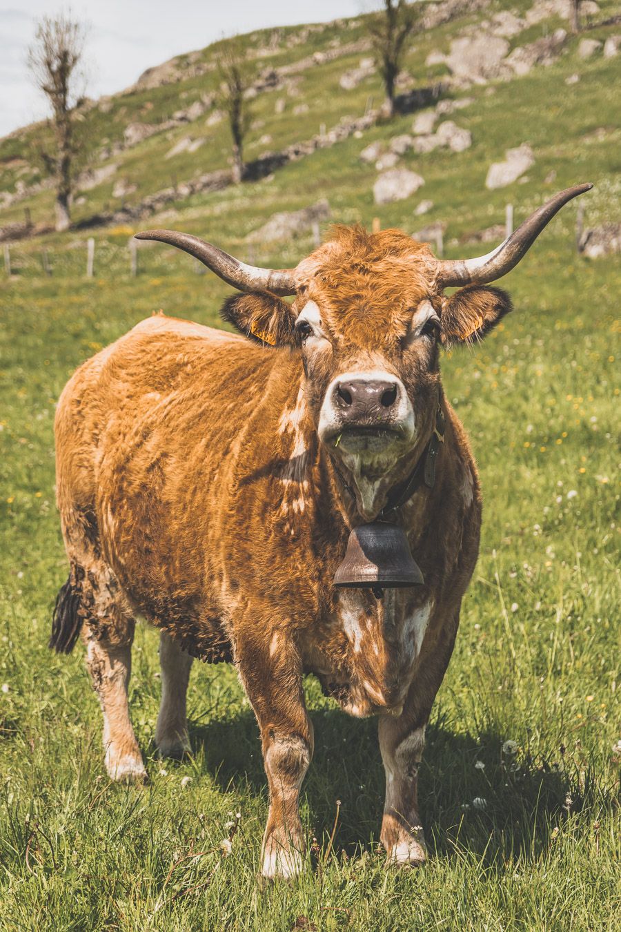 Vacances en France - le meilleur de la Lozère