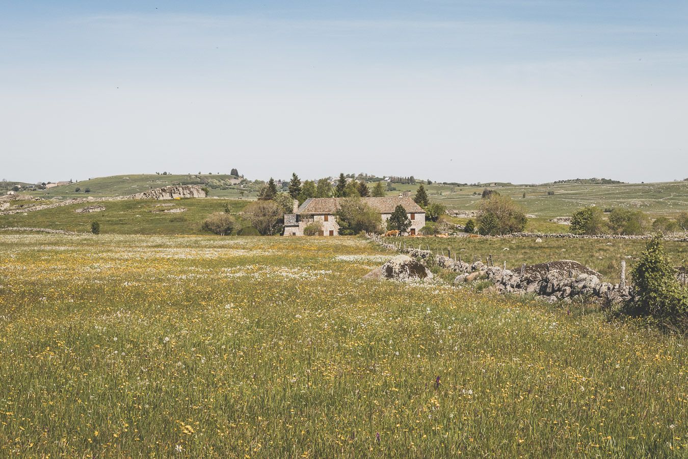 Ferme sur l'Aubrac en Lozère