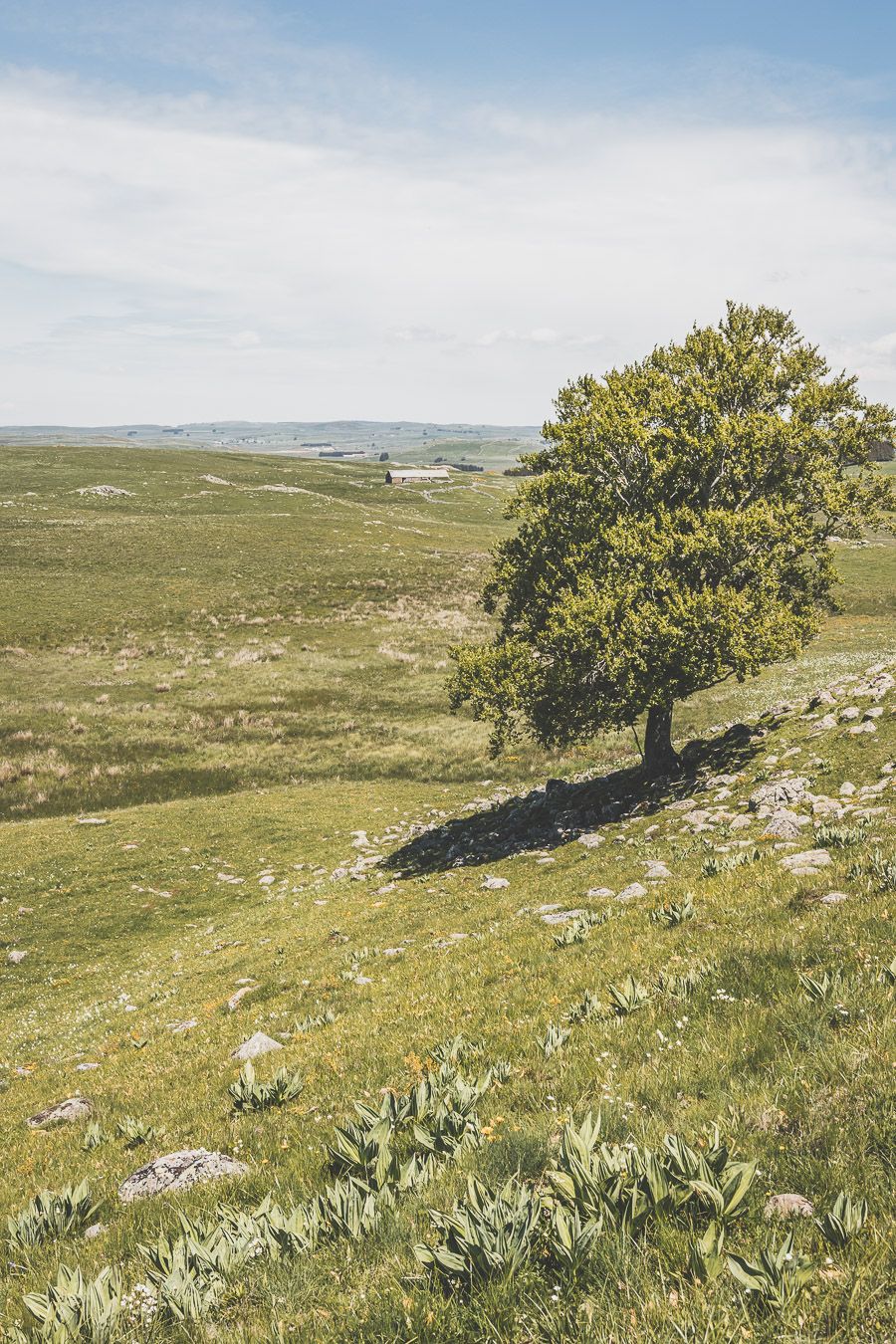 Randonnée sur l'Aubrac : la cascade du Déroc et le lac de Saint-Andéol en Lozère