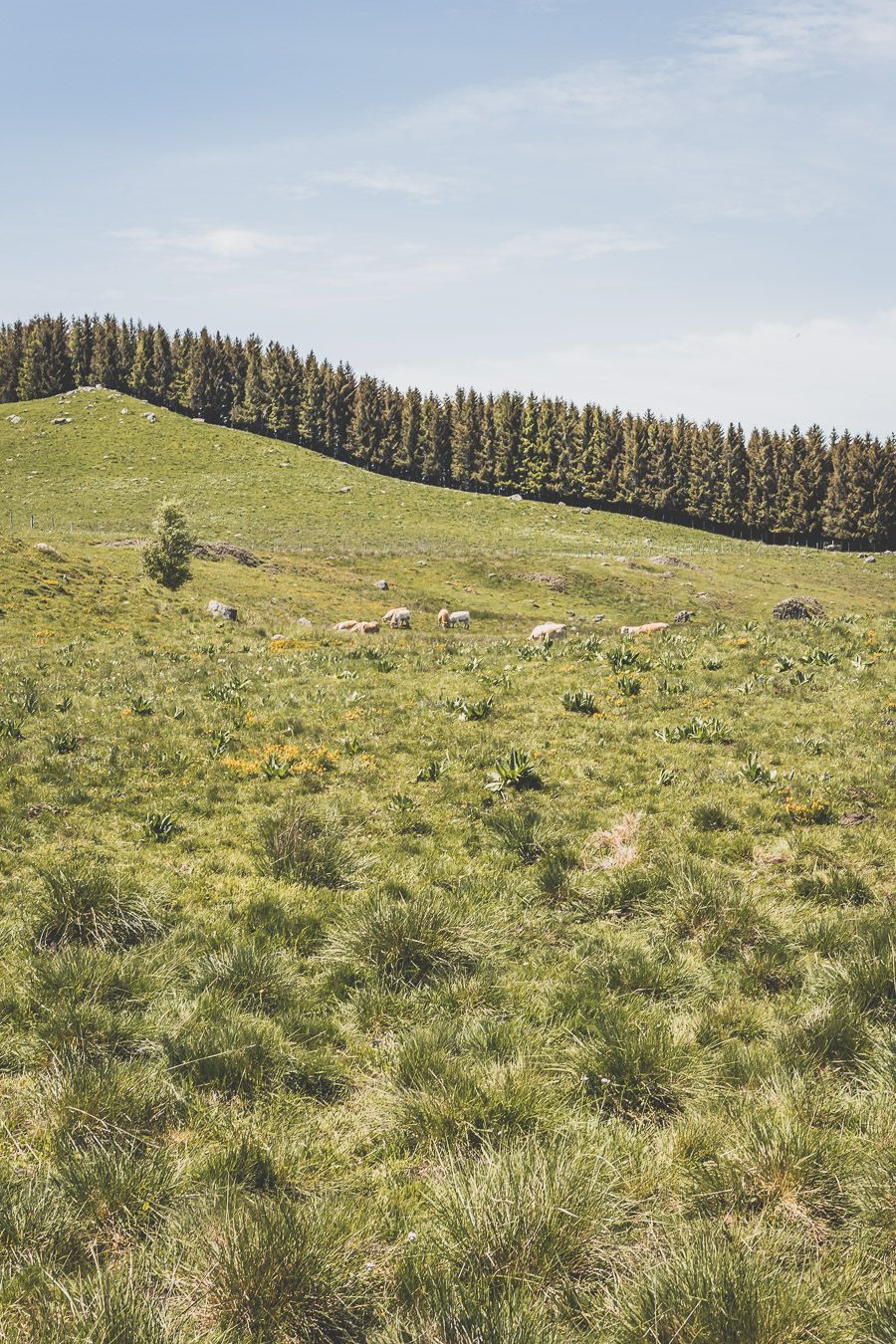 Randonnée sur l'Aubrac : la cascade du Déroc et le lac de Saint-Andéol en Lozère