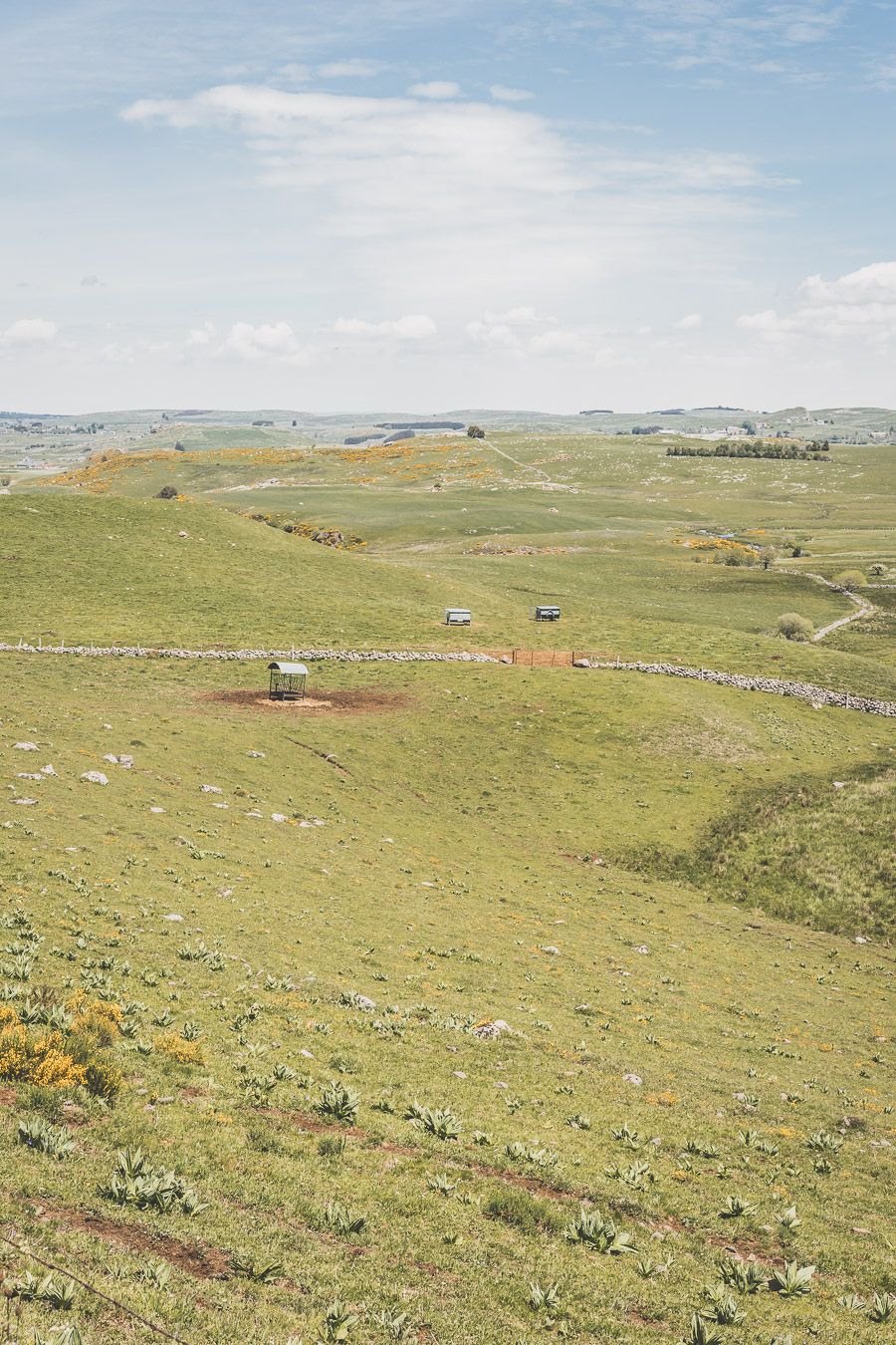 Randonnée sur l'Aubrac : la cascade du Déroc et le lac de Saint-Andéol en Lozère