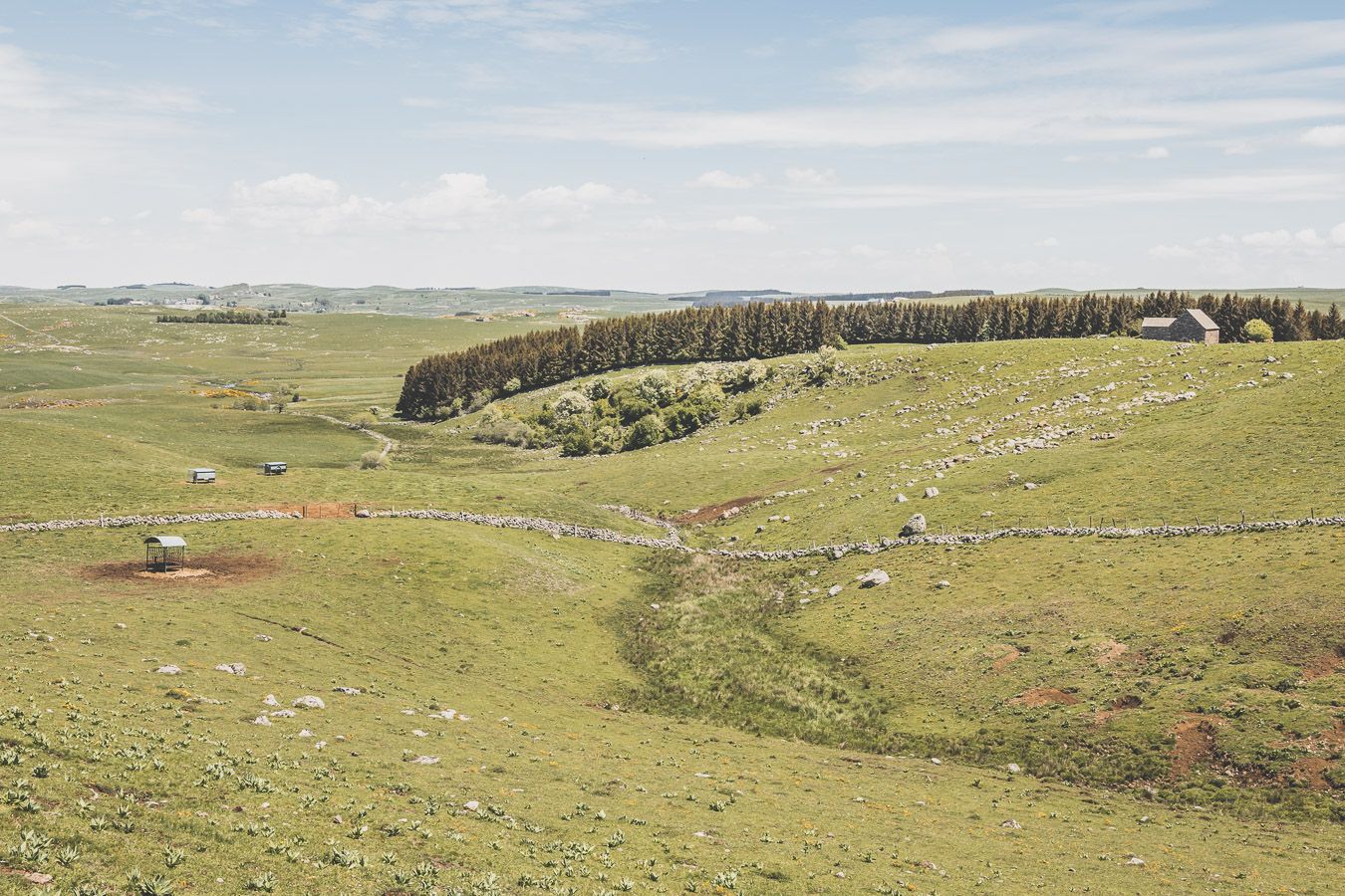 Randonnée sur l'Aubrac - Occitanie, France