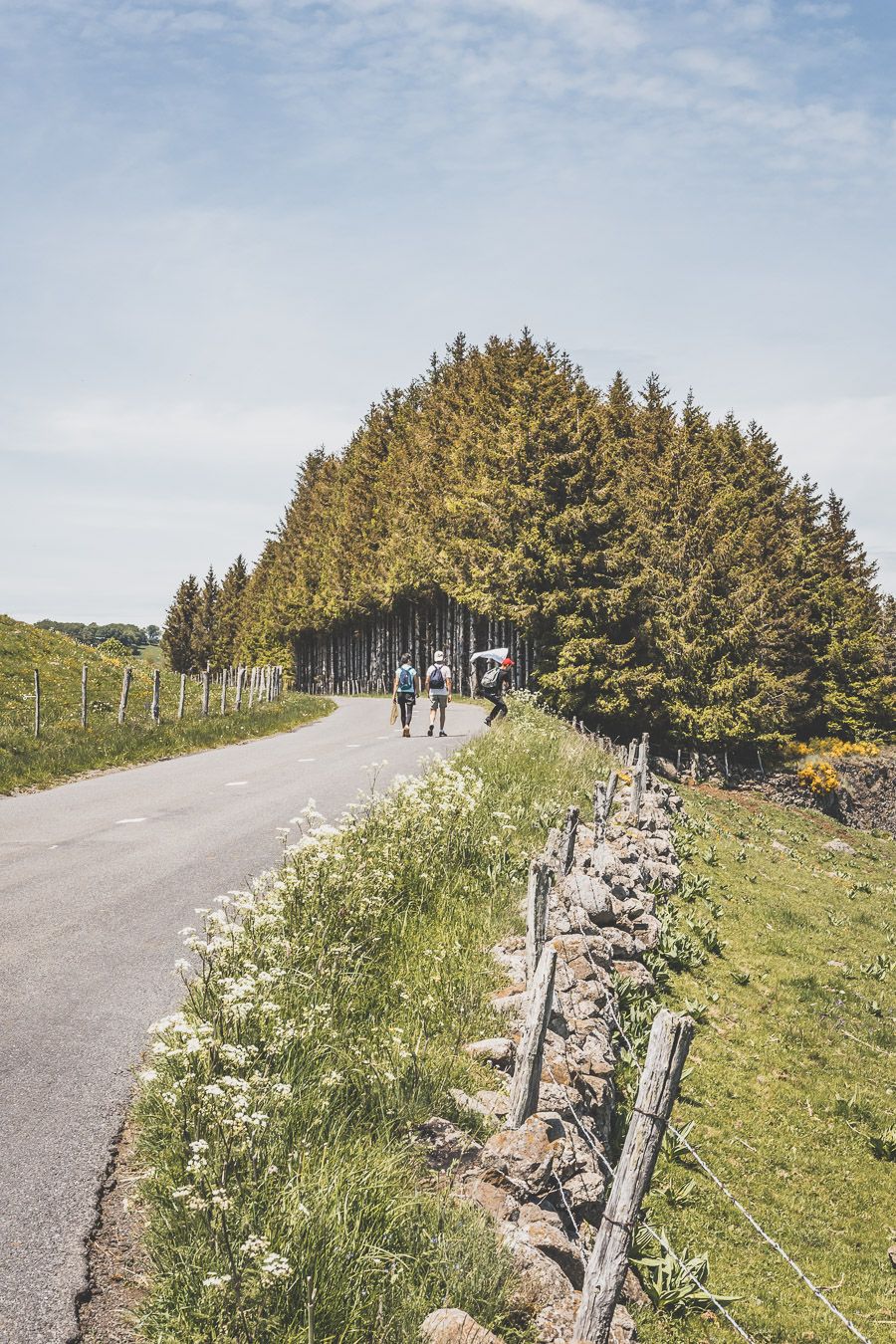 Randonnée sur l'Aubrac : la cascade du Déroc et le lac de Saint-Andéol en Lozère