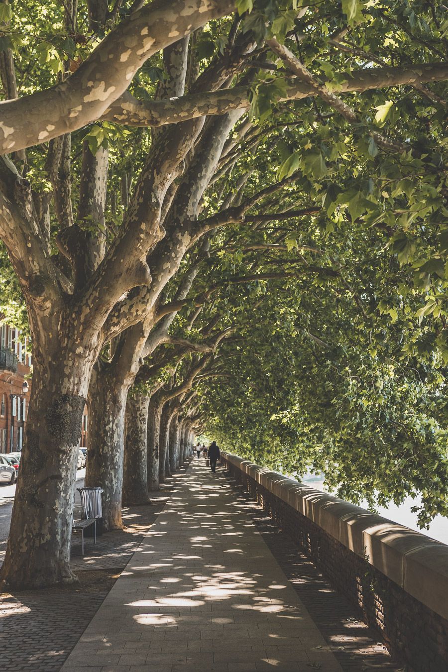 Visiter Toulouse à pied