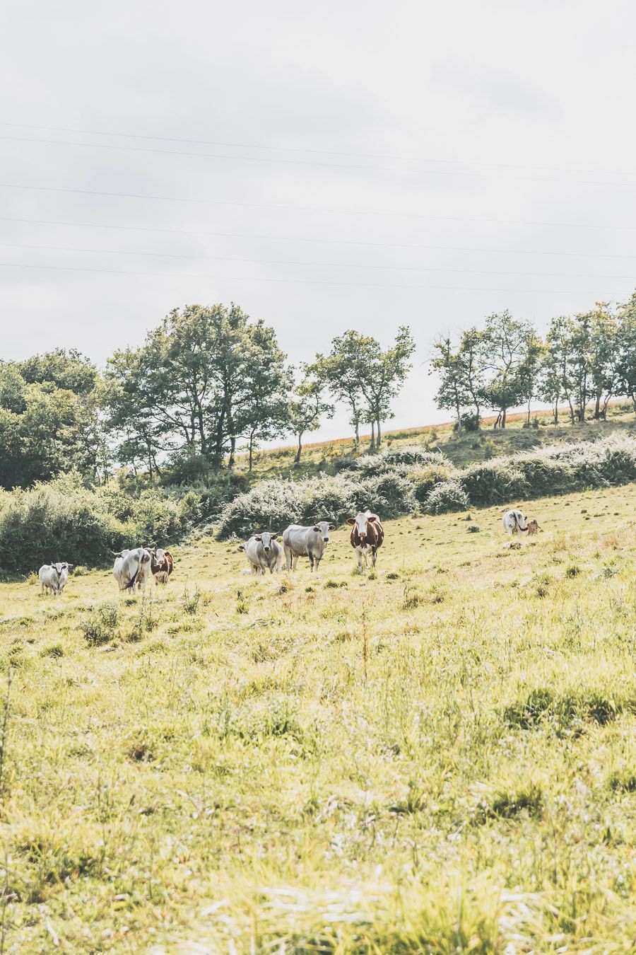 week-end nature dans le Gers