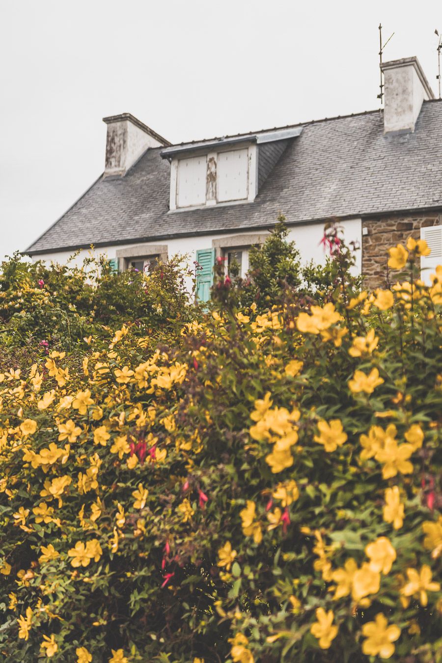 Découvrir la Baie de Morlaix