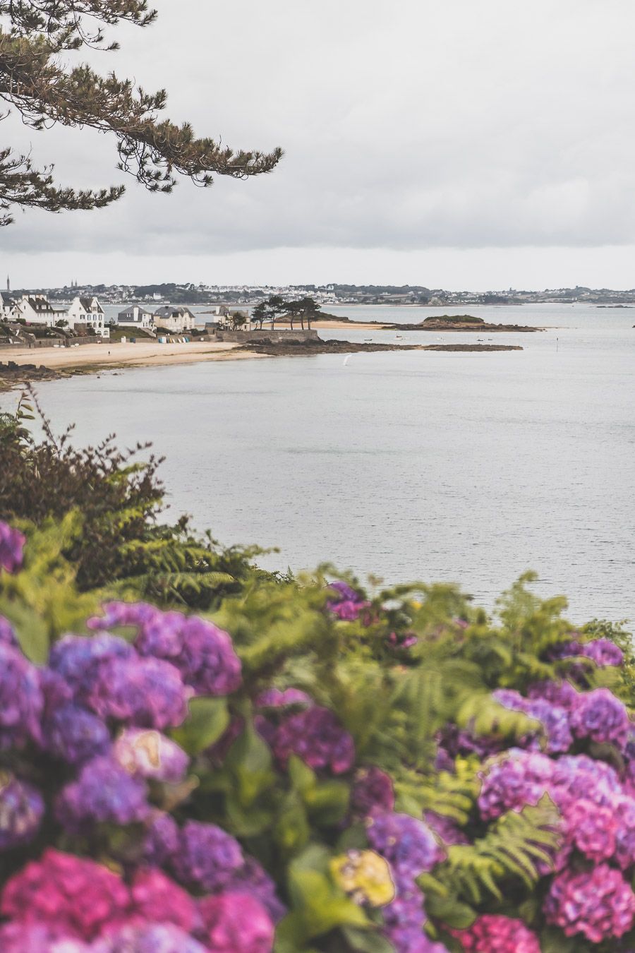 Sortie Nature dans le Finistère Nord