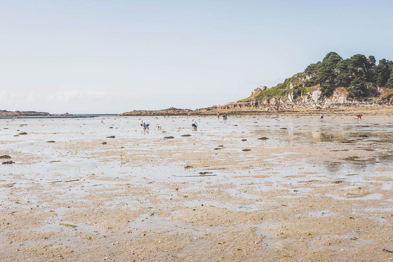 Ramasseurs de coquillages