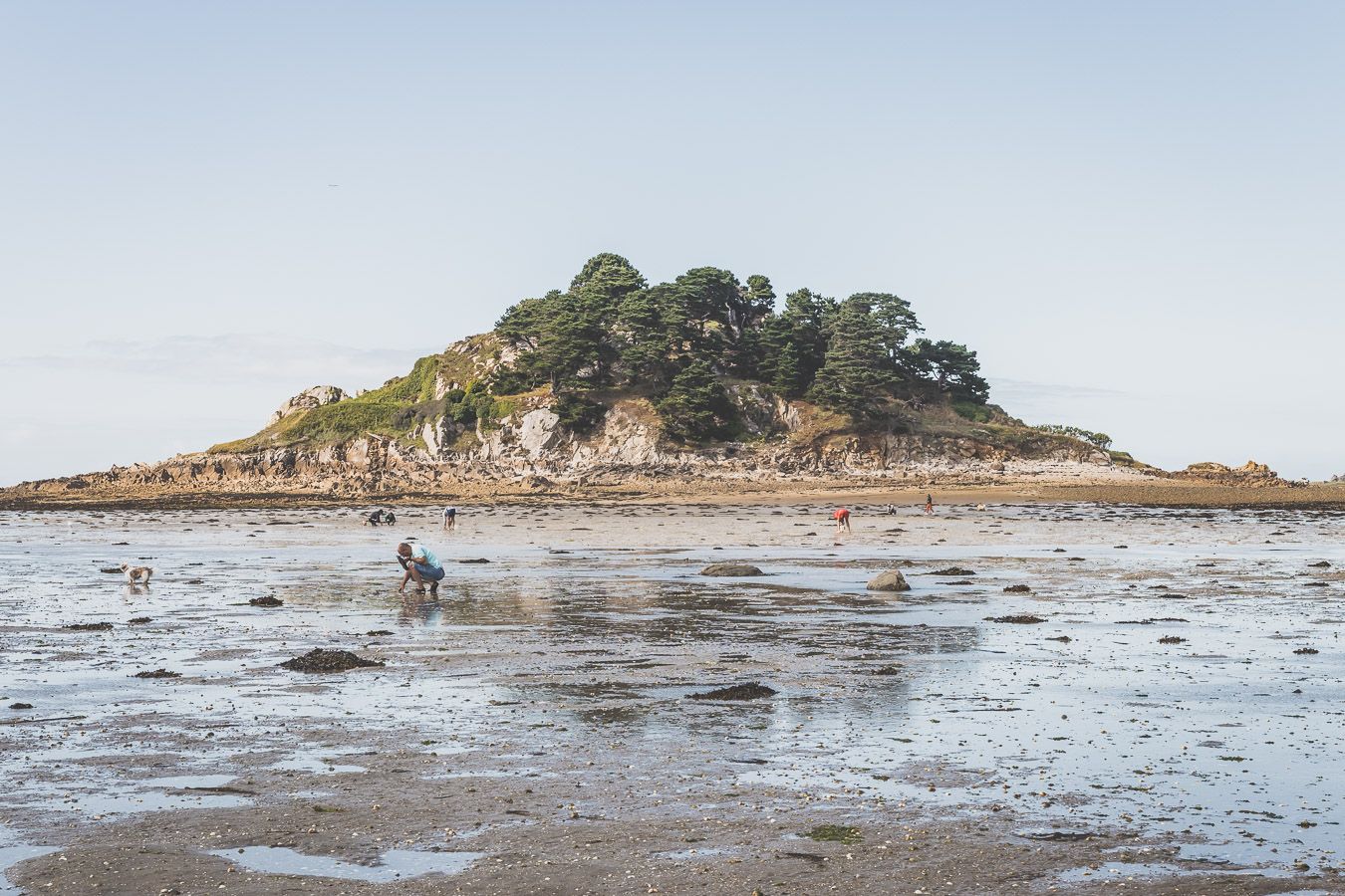 Marée basse en Bretagne