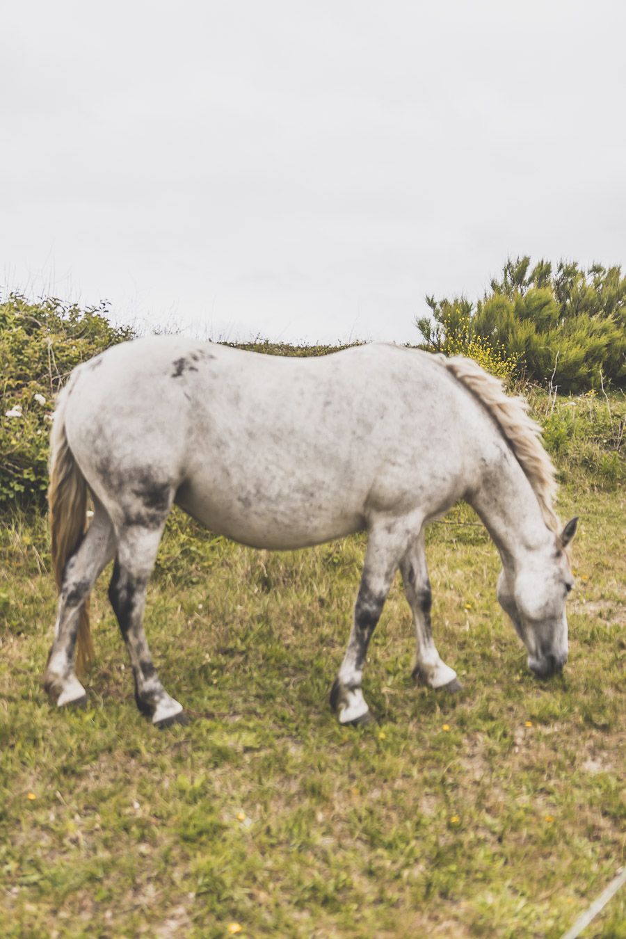 Tu planifies ton voyage en Bretagne et tu te demandes que visiter dans le Finistère ? Trouve le meilleur du Finistère sur notre blog! #finistere #bretagne #weekend #france #vacances / Vacances en Bretagne / Vacances dans le Finistère / Road trip en Bretagne / Vacances en France / Travel in France / Voyages / Vacances en France / Voyage en France / Bretagne paysage / Bretagne Finistère / Bretagne France / Bretagne visite / Bretagne voyage / Bretagne vacances / Destinations de voyages / Europe