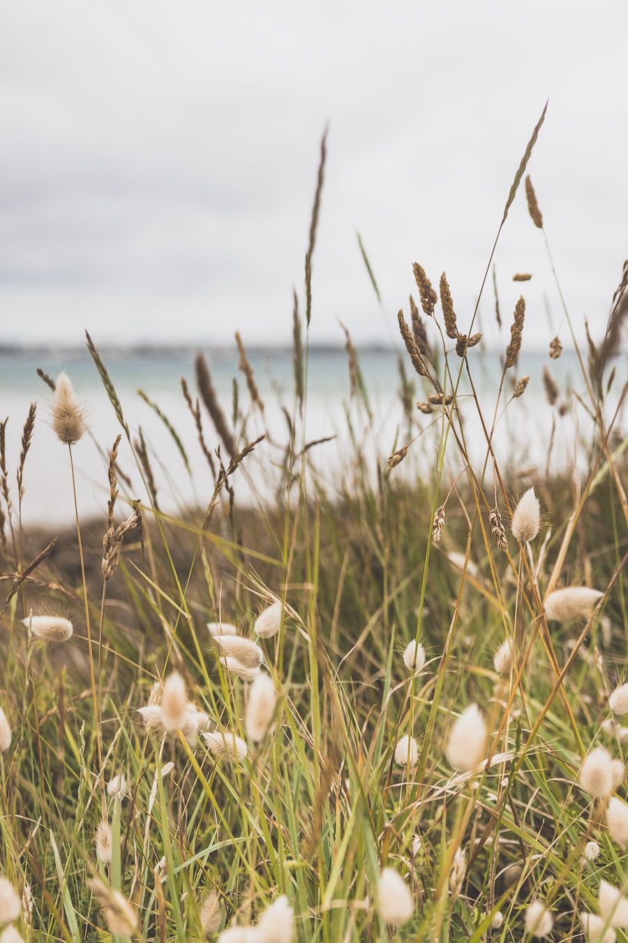 Nature en Bretagne